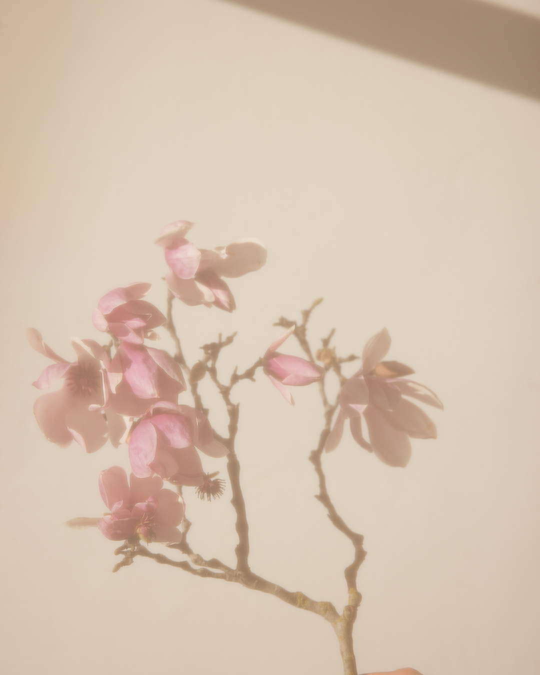 Spring Equinox Portal Ceremony