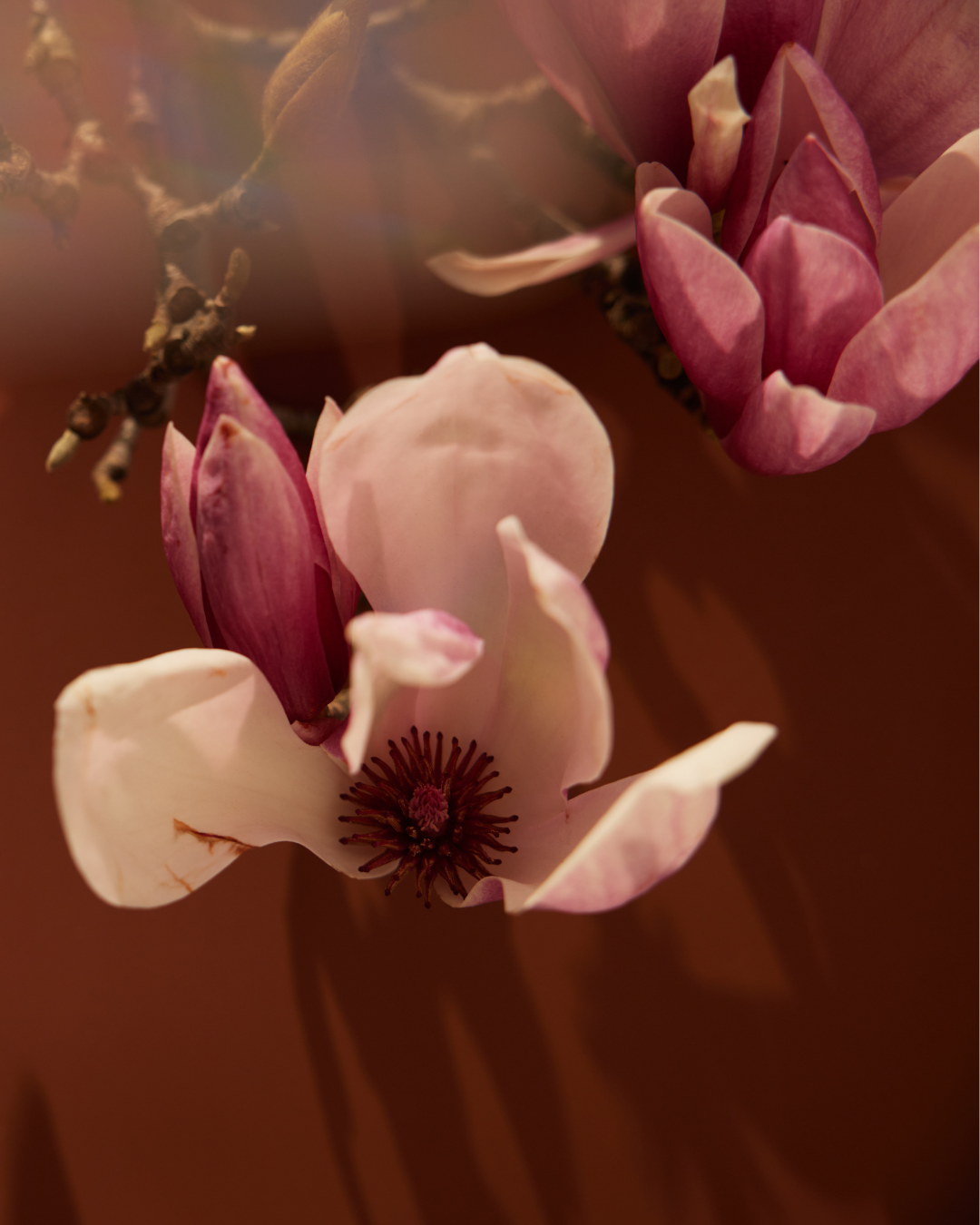 Spring Equinox Portal Ceremony